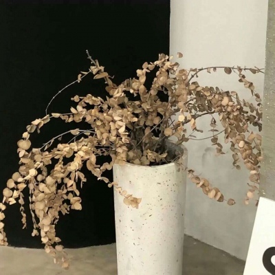 兽设简约风格设计FurryQQ群